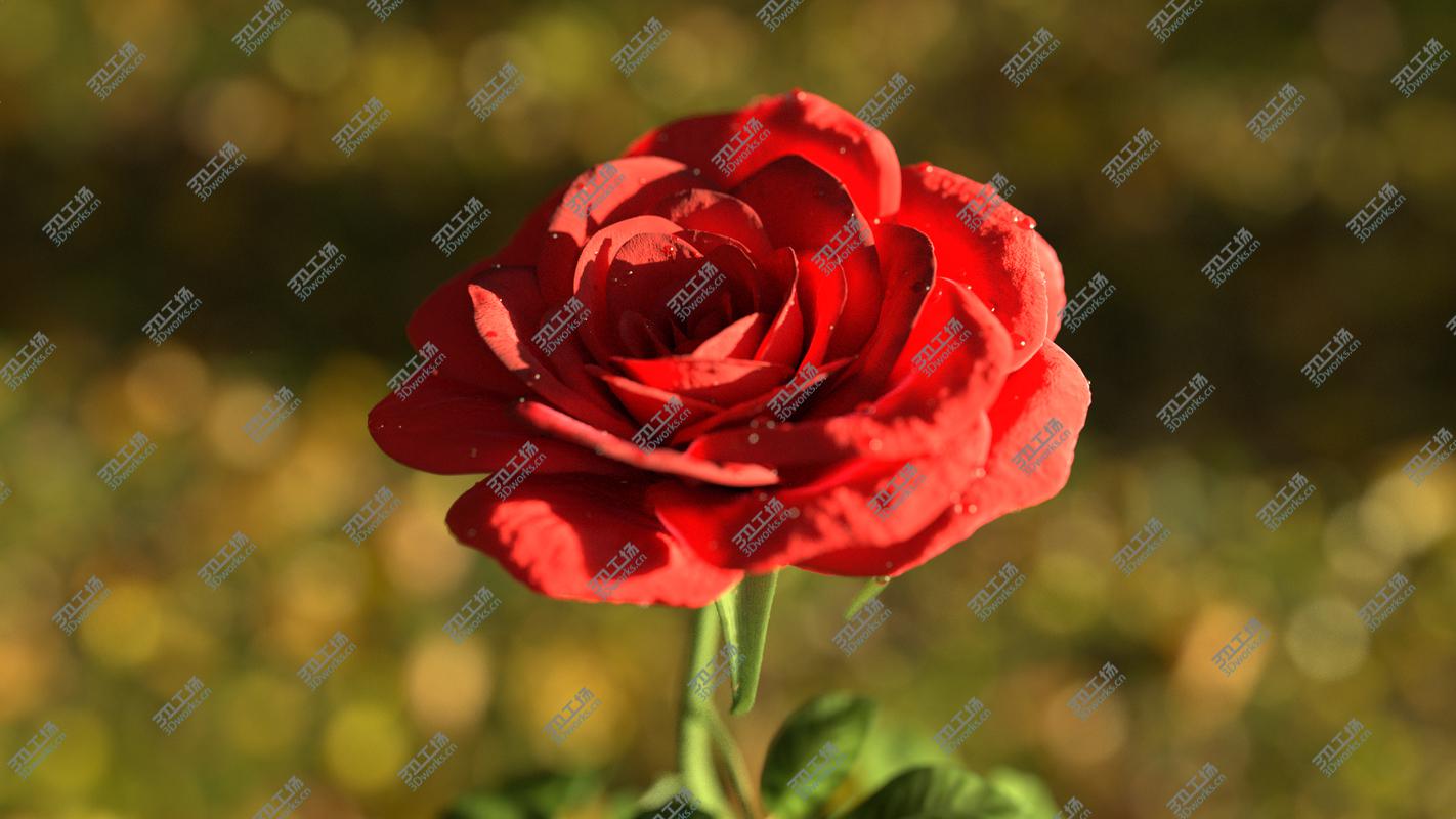 images/goods_img/20210114/Rose animated 3D model/5.jpg